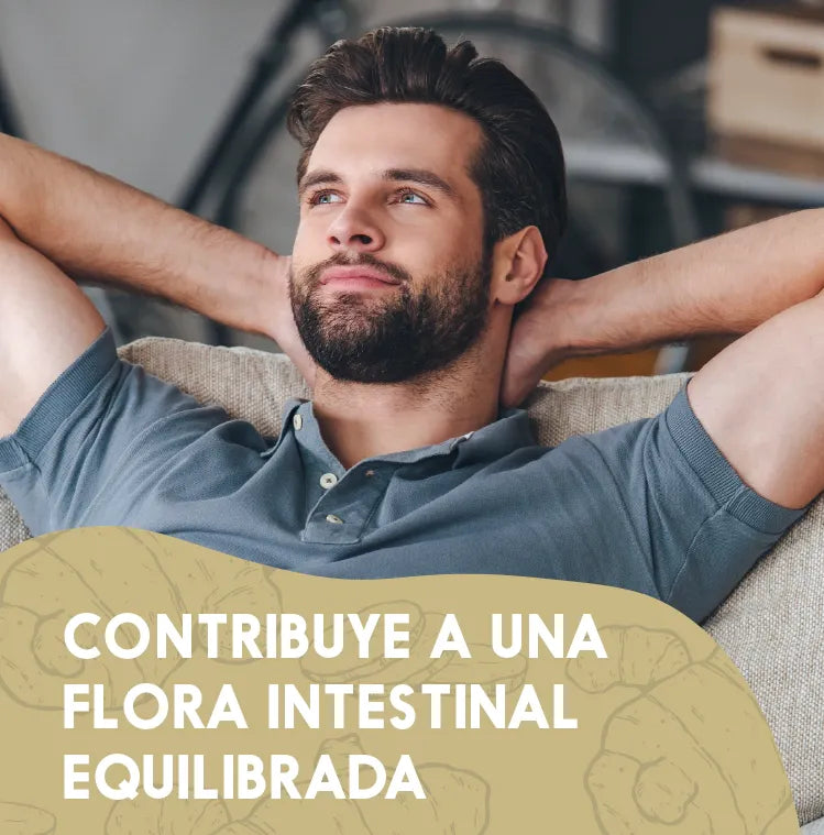 Cúrcuma + Probióticos