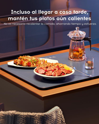 Bandeja Eléctrica  de Alimentos