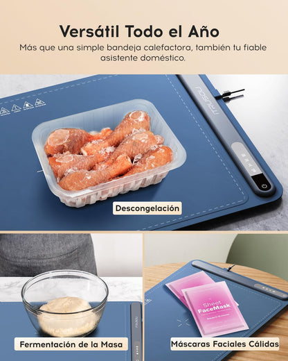 Bandeja Eléctrica  de Alimentos