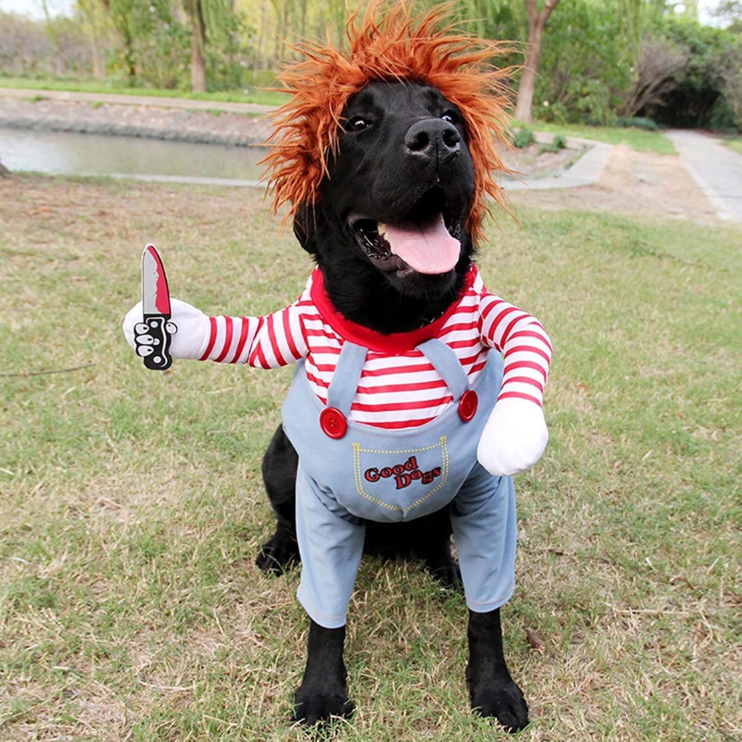 Disfraz Mascotas Chucky Halloween