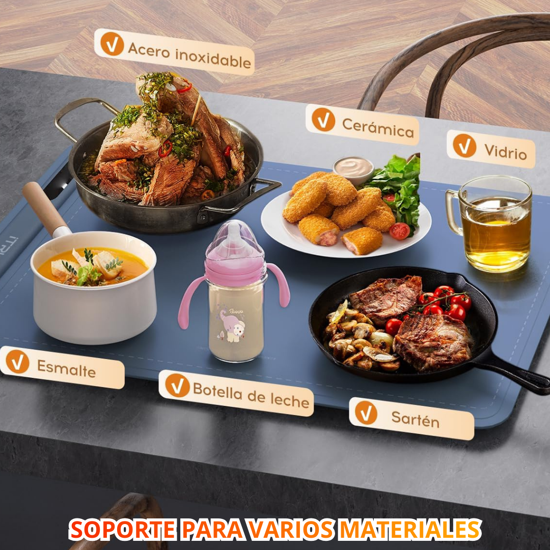 Bandeja Eléctrica  de Alimentos