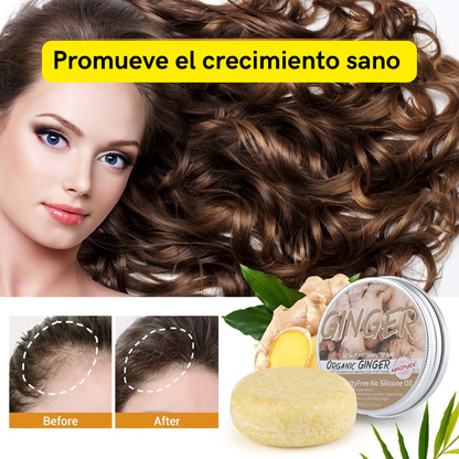 SHAMPOO EN BARRA SET x2