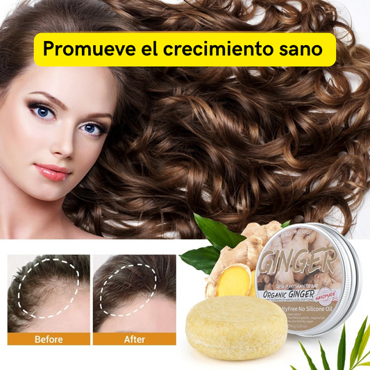 SHAMPOO EN BARRA SET x2